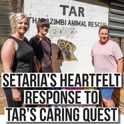 Setaria’s heartfelt response to TAR’s caring quest