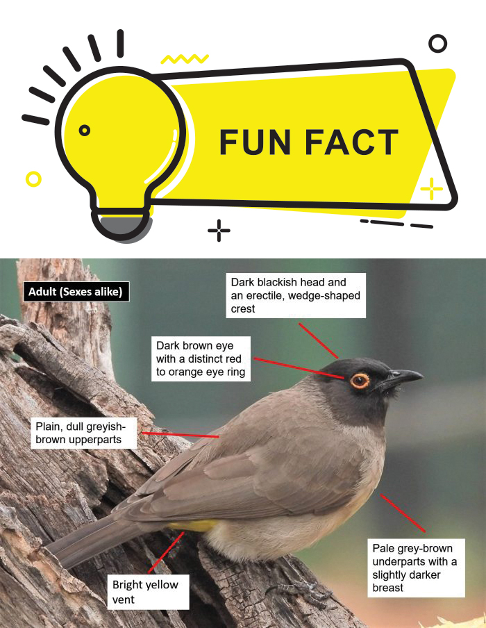 Did you know?