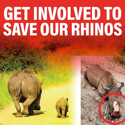 GET INVOLVED TO SAVE OUR RHINOS