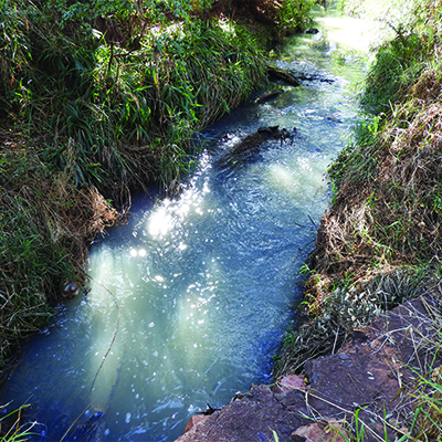 Alarm raised over sewage pollution