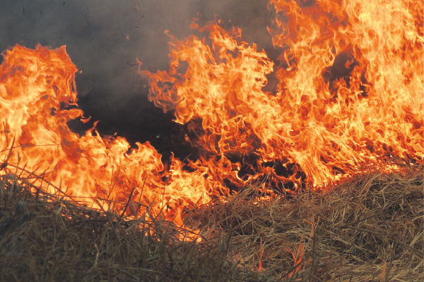 Another freaking fire!
[Letter to the editor]