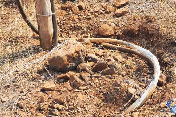Cable theft leads to power outages