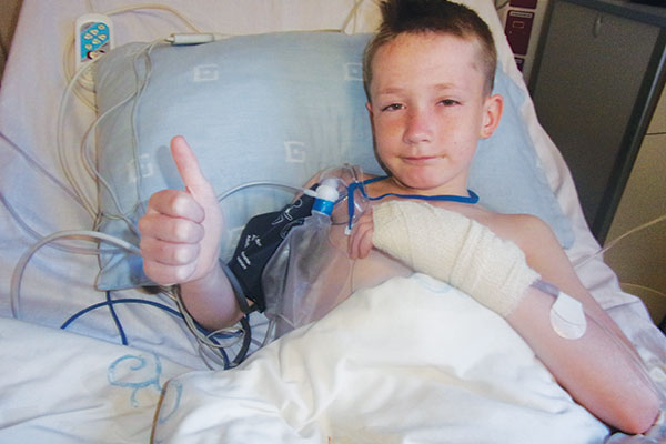 Brave little fighter