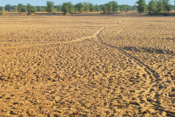 Troubled waters
Farmers prosecuted for illegally damming up Limpopo river