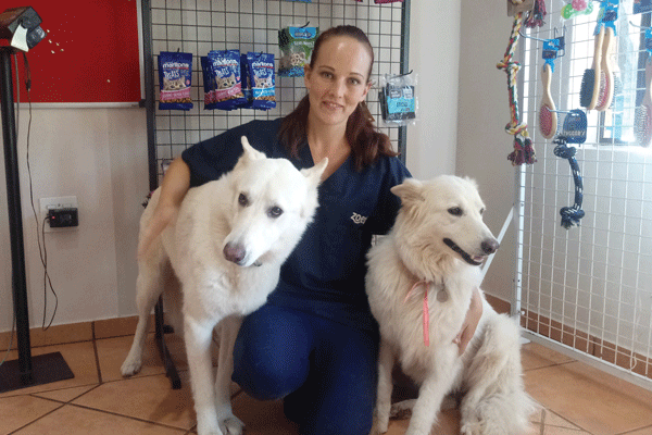 Dokter Jamiela Barnard vertel meer oor bosluiskoors en bosluisbytkoors