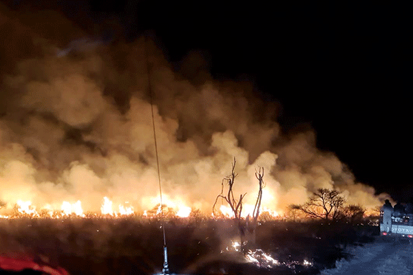 Fire in Dwaalboom