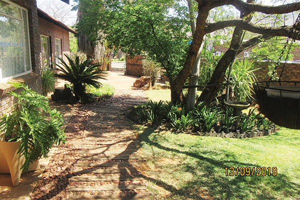 Pragwoning in die bosveld