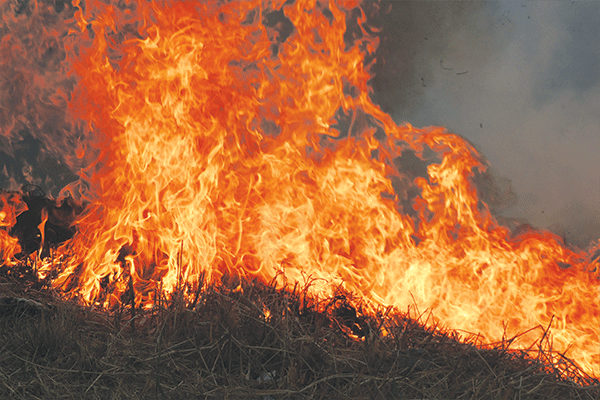 Onthou die brandverbod!