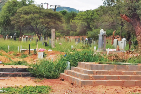 Graveyard a jungle
[Letter to the editor]