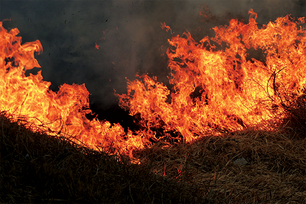 R40 000 reward to catch arsonist