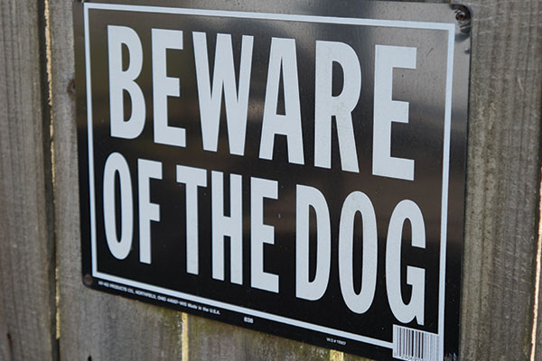 Ready to bite – know the signs!