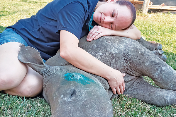 Rescued, loved and released