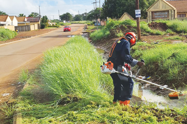 Sprucing up the environment