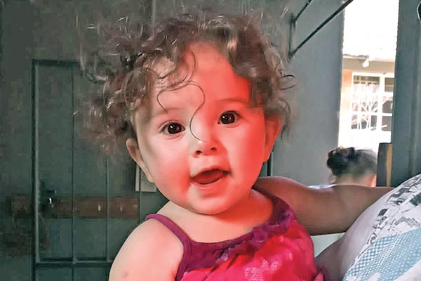 Toddler killed by dog