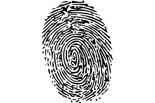 Who am I?
Letter to the editor