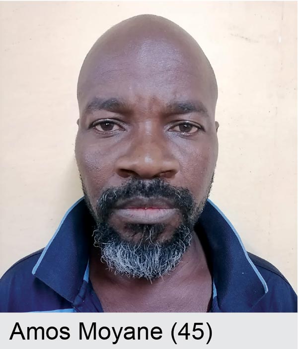 15-Year sentence to rhino poaching syndicate members