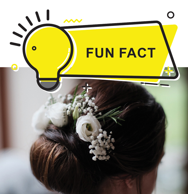 Did you know?