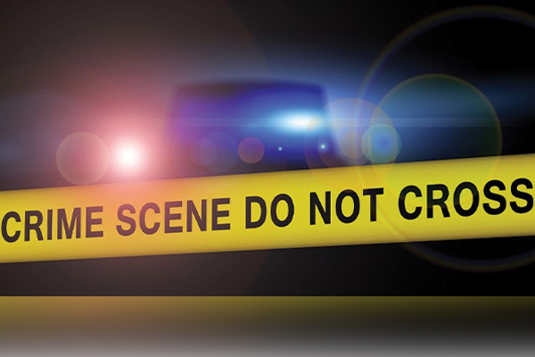 30 arrested for various offences