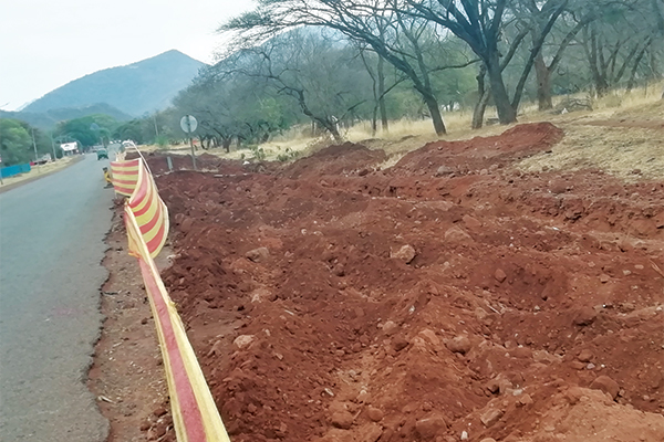 Body of 16-year-old found in ditch
