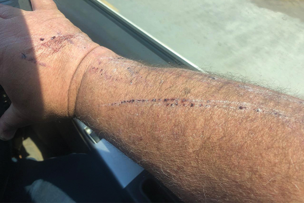 Brave motorist fends off armed hijackers…