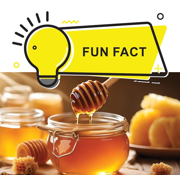 Did you know?