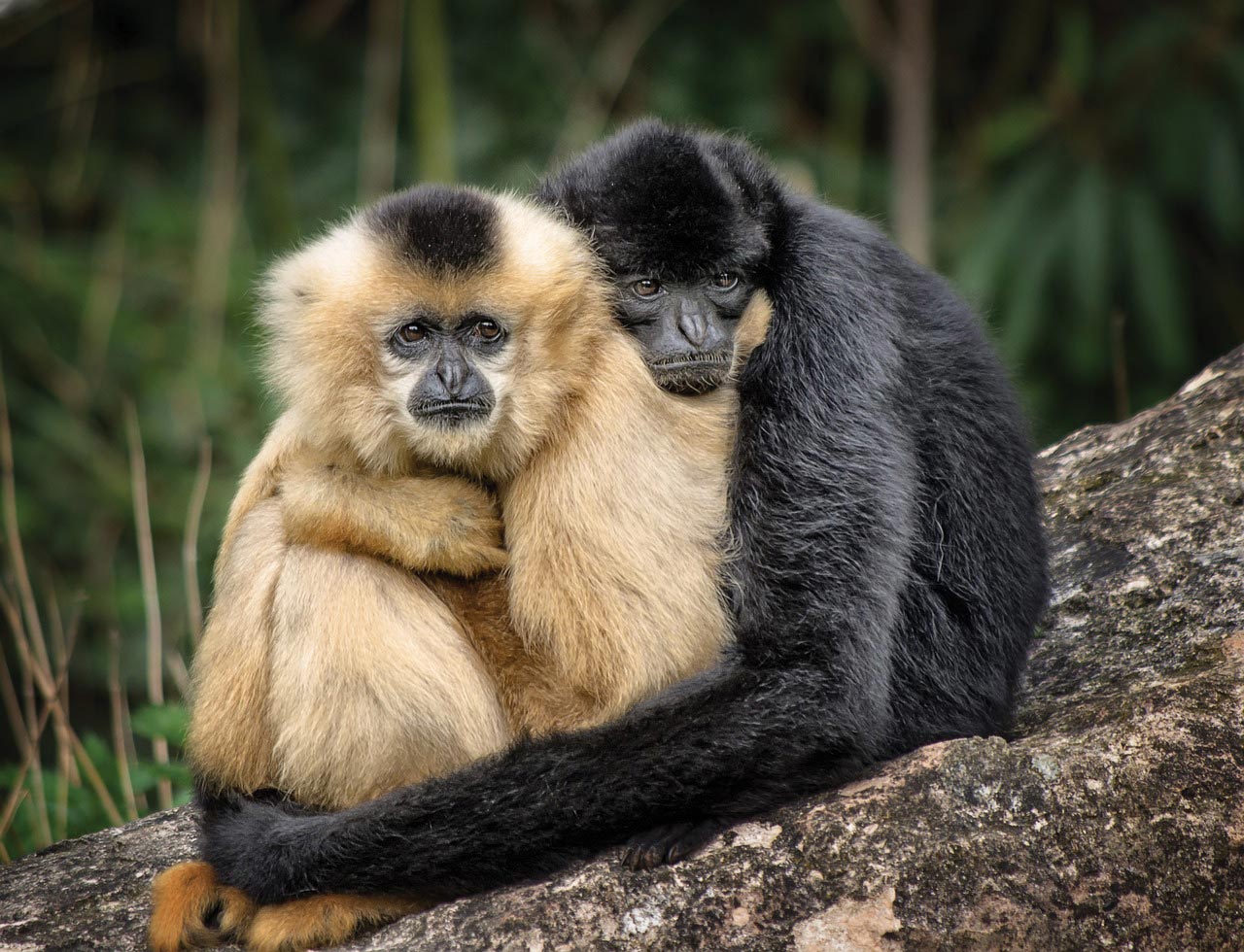 POLL:
Are you a hugger? 