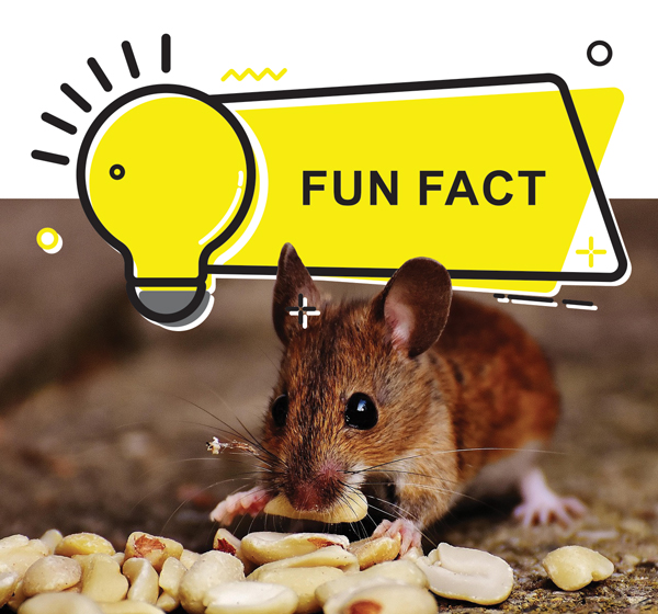 Did you know?