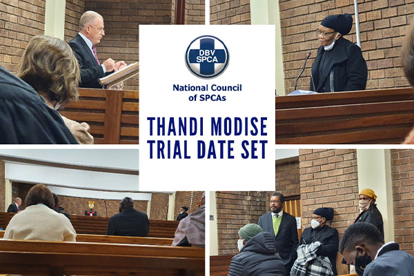 Thandi Modise's animal cruelty case on the court roll again