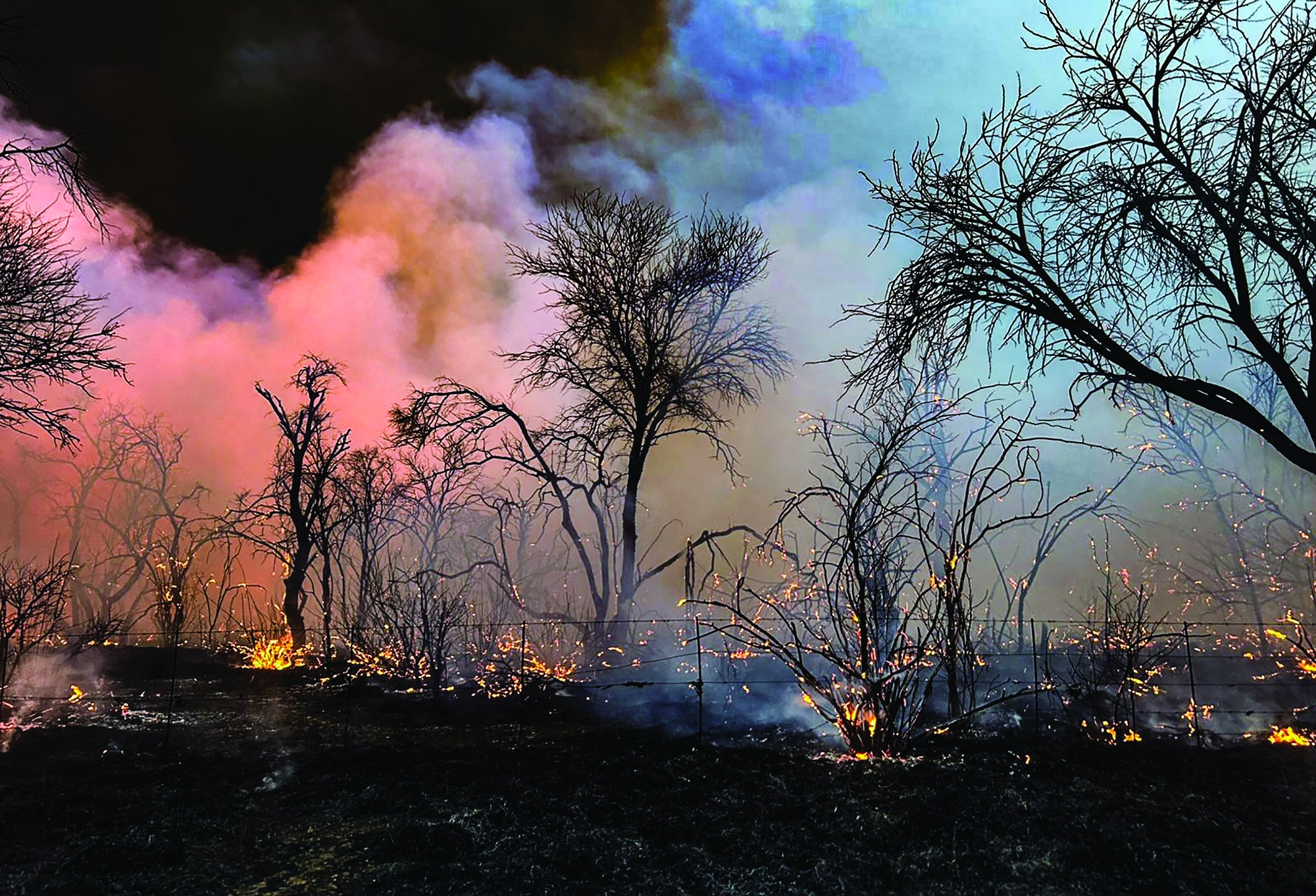 Dense smoke hanged over the blackened veld after the flames swept through the area.